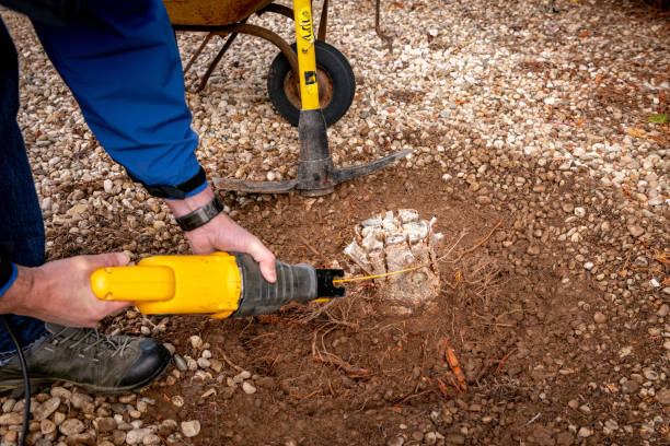Stump grinding and removal service
